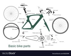 the basic parts of a bicycle on a white background