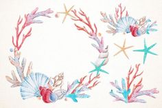 watercolor drawing of corals, seashells and starfish arranged in a circle