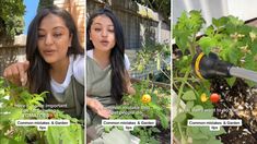 two girls are in the garden and one is looking at something on her phone, while the other looks up