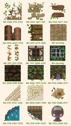 an info sheet showing different types of plants