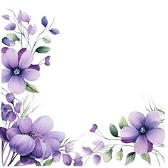 purple flowers and green leaves on a white background with an empty space in the middle