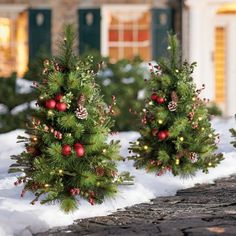 three small christmas trees with lights on them in the snow