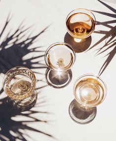 three wine glasses sitting on top of a table next to a palm fronde