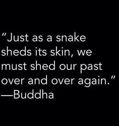 a black and white photo with the quote just as a snake sheds its skin, we must shed our past over and over again