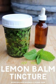 Learn how to make a simple and natural lemon balm tincture to calm frazzled nerves, encourage sleep and more with this simple method. Lemon Balm Recipes, Lemon Balm Tincture, Tinctures Recipes, Herbal Remedies Recipes, Medical Herbs, Herbal Tinctures