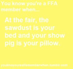 the quote for you know what to do when someone is in bed and your pillow