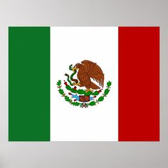 the flag of mexico is displayed on a wall