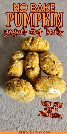 no bake pumpkin yogurt dog treats made with only 3 ingredients on sale