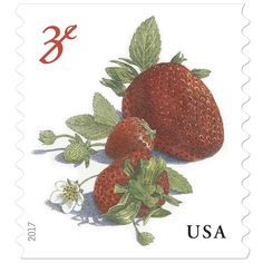 a stamp with two strawberries on it