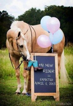 a brown horse standing next to a chalkboard with balloons on it's back