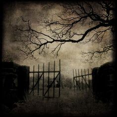 an old photo of a fence and tree with no leaves in the foreground, against a cloudy sky