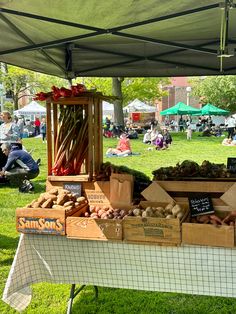 an outdoor market is set up on the grass