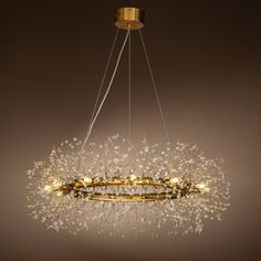 a large chandelier with many lights hanging from it's sides and an oval shape