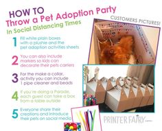 the instructions for how to throw a pet adoption party