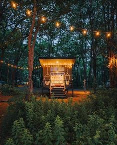 an outhouse in the woods with lights strung from it's roof and stairs