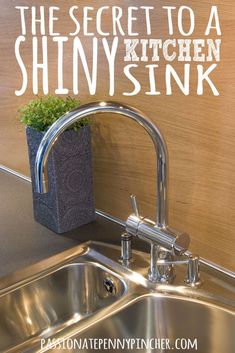 there is a sink with a plant in it and the words, this secret to a shiny kitchen sink