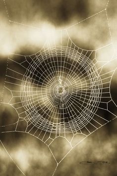 a spider web in the middle of a cloudy sky