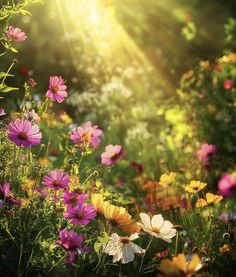 the sun shines brightly over colorful wildflowers in a field on a sunny day