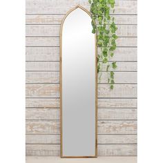 a tall mirror sitting on top of a wooden floor next to a green leafy plant