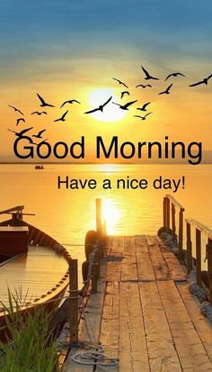 a dock with birds flying over it and the words good morning have a nice day