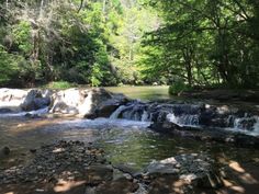 a small waterfall running through a forest filled with lots of rocks and trees in the background