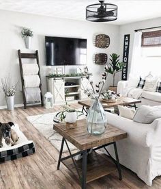 a living room filled with furniture and a dog laying on the floor