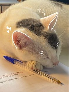 a cat sleeping on top of a piece of paper next to a pen and pencil