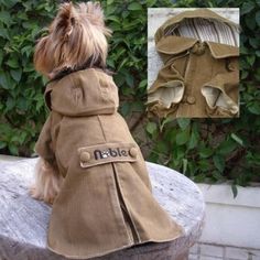 a small dog wearing a coat sitting on top of a wooden table next to bushes