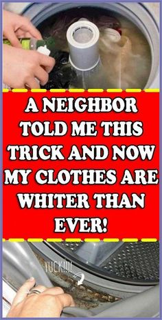 My Clothes Would Never Have Been  - So White and Smelling, If My Neighbor Didn’t Told Me This by Nina Bliznakovska | This newsletter was created with Smore, an online tool for creating beautiful newsletters for educators, businesses and more Low Thyroid Remedies, Diy Shampoo Recipe, Thyroid Remedies, Baking Soda For Hair, Wedding Makeup Bride, Baking Soda Benefits, Glam Wedding Makeup, Smoothie Recipes Healthy Breakfast, Skin Care Routine Order