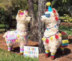 two llamas are standing next to each other in the grass near a tree