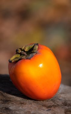 an orange sitting on top of a piece of wood