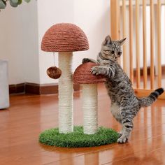 a cat standing on its hind legs in front of a mushroom shaped scratching post that is made out of yarn