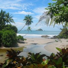 the beach is surrounded by trees and water