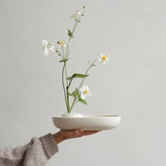 a person holding a white bowl with flowers in it on a plate that is held by their hand