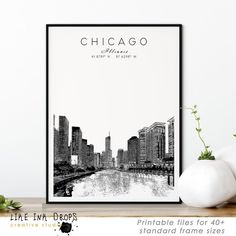 the chicago skyline is shown in black and white, as well as an eggplant