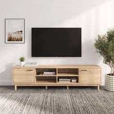 a living room with a large flat screen tv on the wall and a potted plant next to it