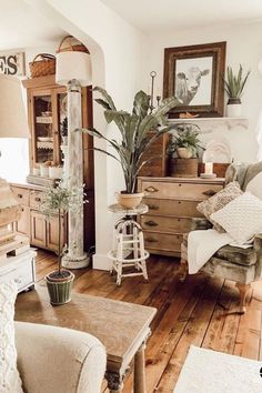 a living room filled with furniture and lots of plants in the middle of it on top of a hard wood floor