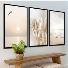 three pictures hanging on the wall above a bench with a potted plant in front of it