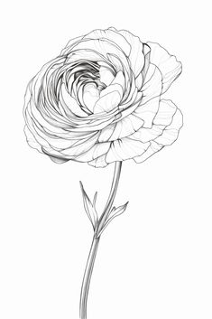 a black and white drawing of a flower