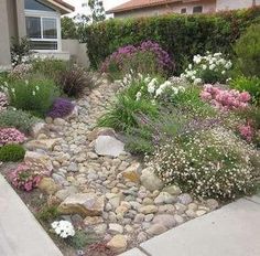 a garden with rocks and flowers in front of a house