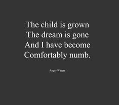 the child is grown the dream is gone and i have become comfortably number