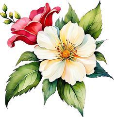 two flowers with green leaves and one red flower on the other side, painted in watercolor