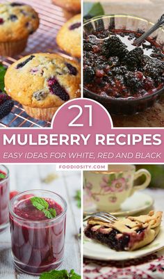 twelve mulbberry recipes that are easy to make and delicious