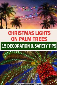 christmas lights on palm trees with text overlay