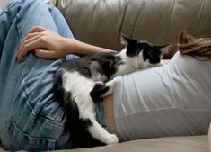 a woman laying on top of a couch next to a black and white cat