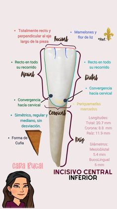 Clic en la imagen para ver el contenido completo, no olvides crear tu cuenta en uDocz y seguirme, cada semana subo material nuevo de todo tipo que podras descargar GRATIS. Kedokteran Gigi, Dental Fun, Dental Gifts