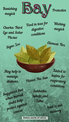 A post looking at the properties and magickal uses of Bay leaf with a free correspondence sheet to download. #bay #BayLeaf #Magick #FreeCorrespondenceSheet #Correspondence #Witchcraft #Pagan #Wicca #Herbs #BayProperties Wicca Herbs, Green Witchcraft, Magical Herbs, Herbal Recipes, Diy Remedies, White Witch, Witch Magic, Bay Leaf