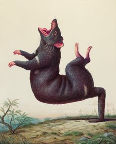 an animal jumping in the air with it's front paws on its back legs