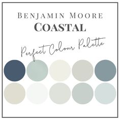 the color scheme for an ocean themed paint palette with white, blue and gray circles