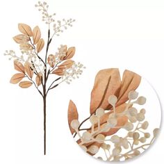 an image of some flowers and leaves on a white background with a circular object in the foreground